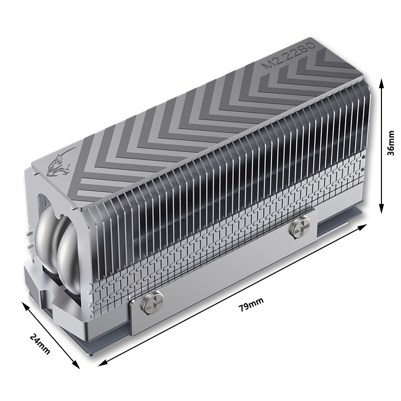 COOLLEO M.2 2280 NVMe SSD Diss - M2 Heatsink Cooler recensione e prezzo